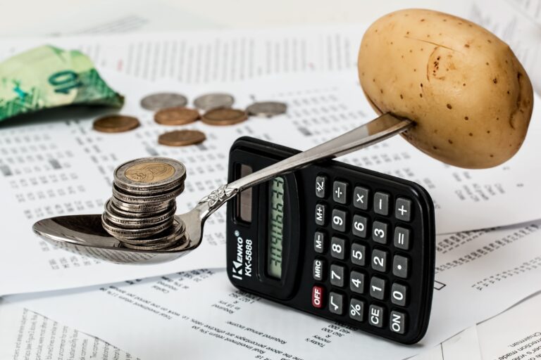 Navigating Inflation Strategies for Saving in Pakistan's Economy